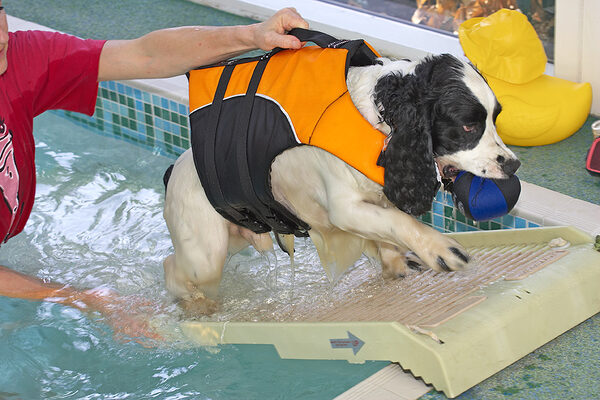 I hope this isn't walking the plank!