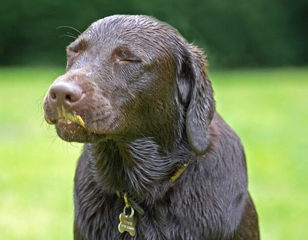 Ssh, I'm concentrating