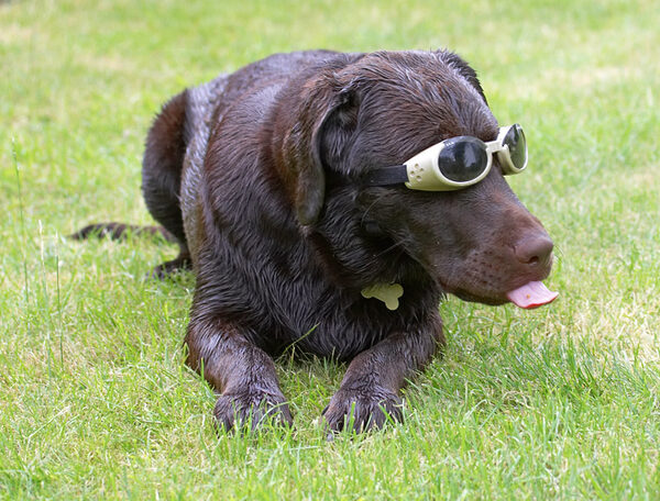 Cool dude