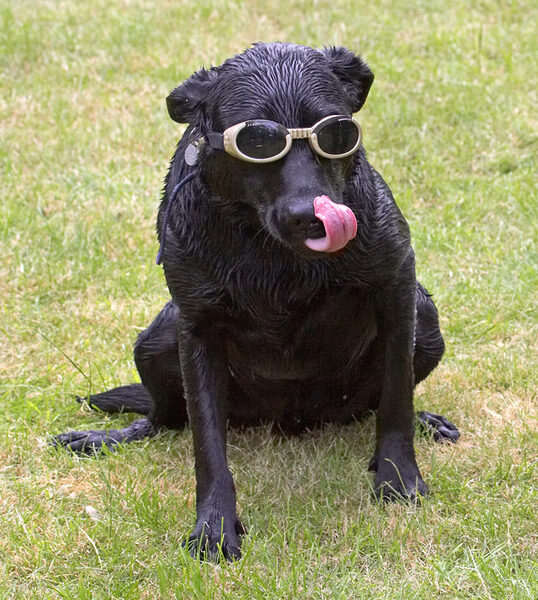 Hello, where did the sun go?