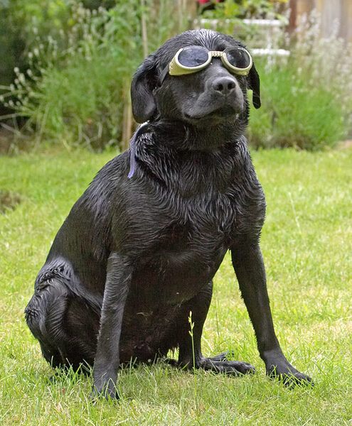 Don't I look like an aviator?