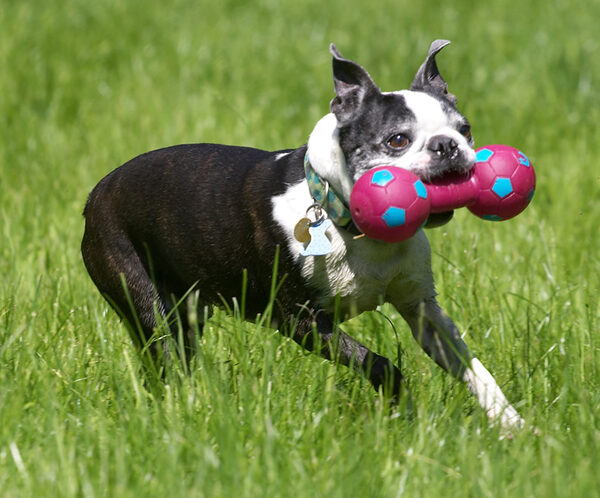 This is my favourite toy