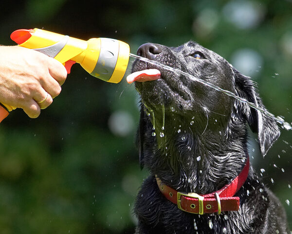 Cooling off
