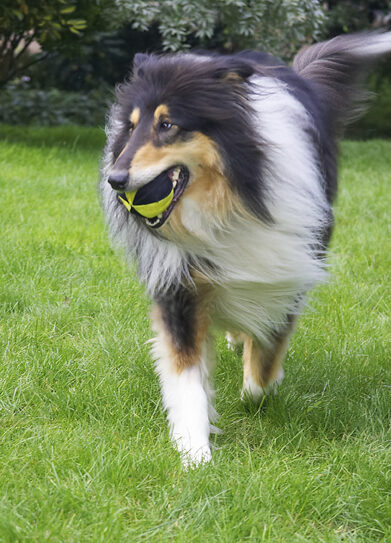 Got to deliver this ball