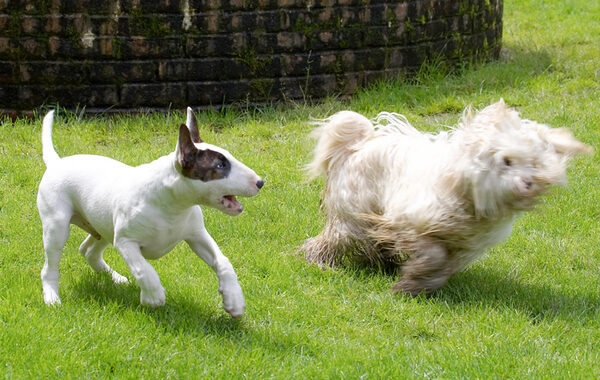 Go on, run away