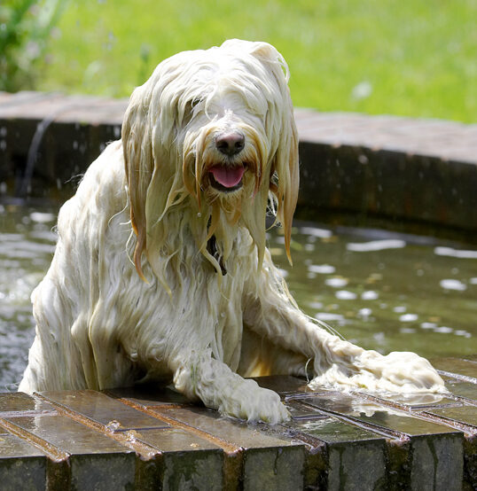 I know I can jump in but I can't jump out!!