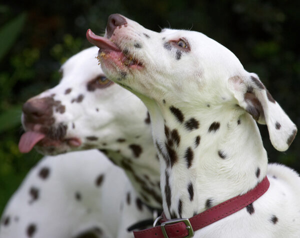 Lip smackin' good