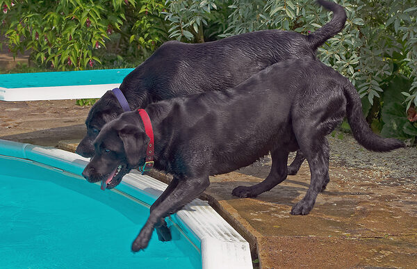Why DO the balls keep going in here?!
