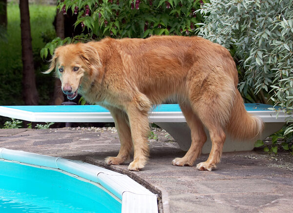 I'm still not going in for a dip