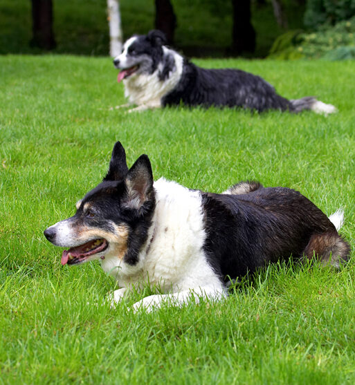 And, in formation