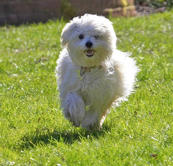 I'm coming to get you