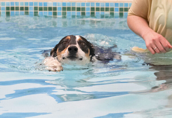 Look, Mom and them, I'm swimming all by myself!!