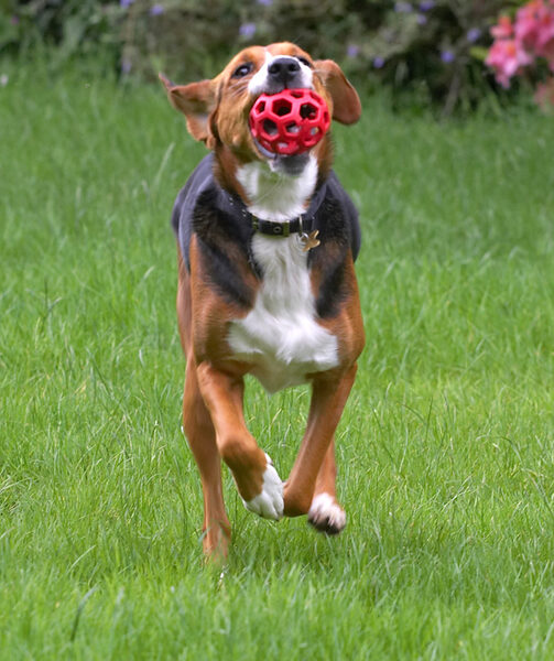 Look at me!