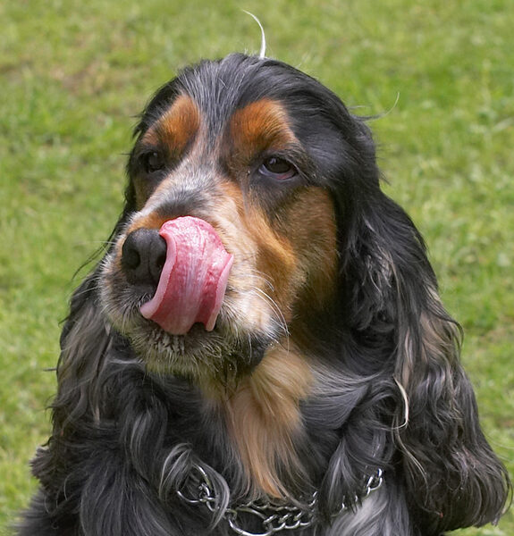 Now I'll check the other side of my mouth