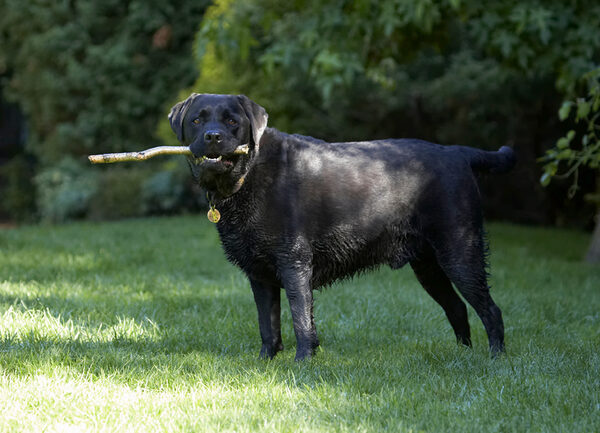 Hey, I'm busy playing - OK!
