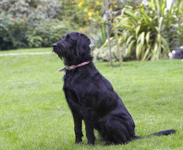 Perfectly poised