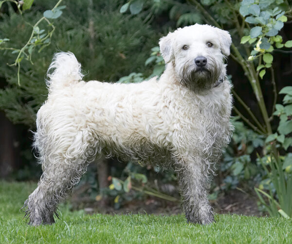 I know, I'm mucky