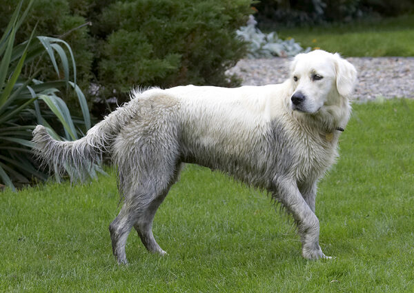 I s'pose this means a bath!!