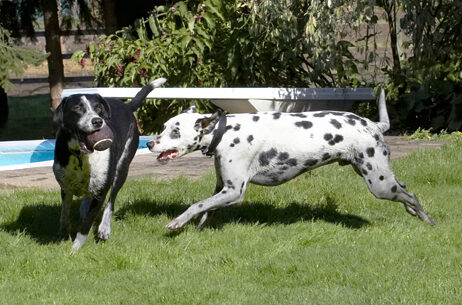 How come you've always got the ball?!