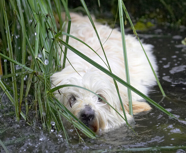 I've quietly slipped in.  Are they watching?