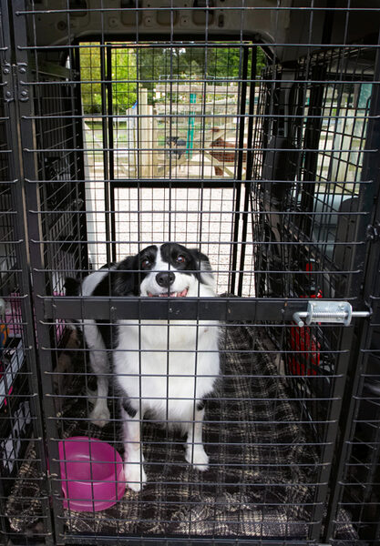 Well, let me out of here so I can start my vacation