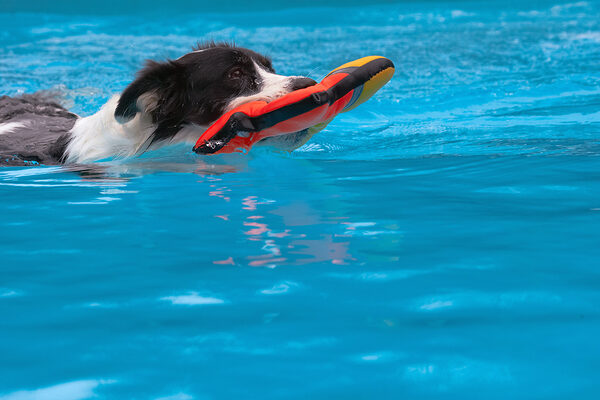 Another succssful retrieval