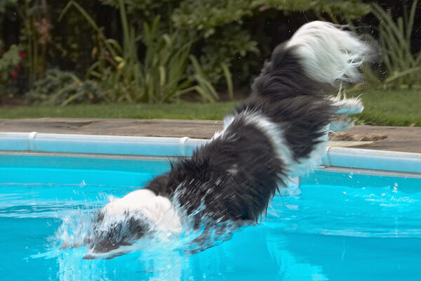 ......... hey, what a dive!