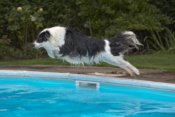 Wheeee, I'm flying