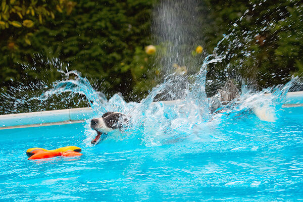........... followed by a big splash
