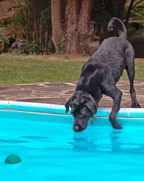 C'mon, just will it in .........