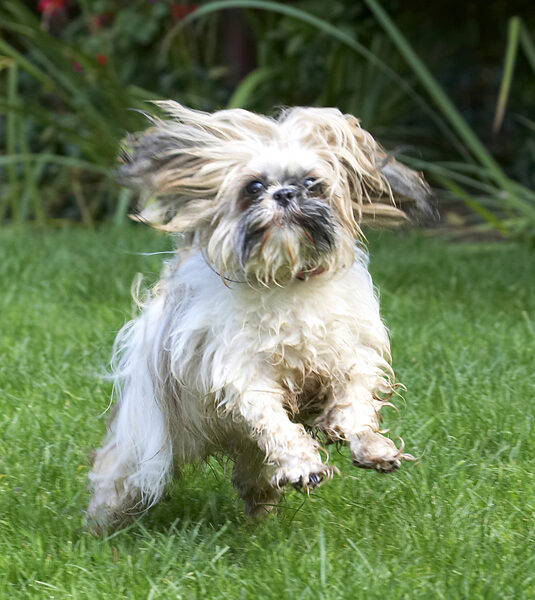 Whee, I'm flying