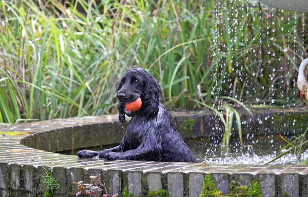 Oh what the heck - I'm having fun!