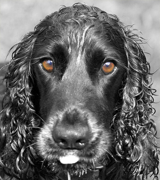 I'm concentrating, OK!