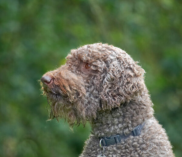 Is this my better side?