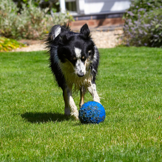 I'll just have a kick around