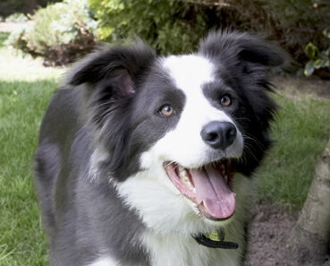 Go on, throw