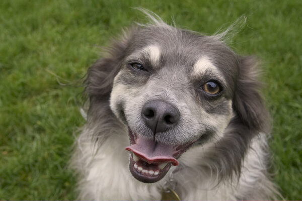 Wink, wink, know wot I mean