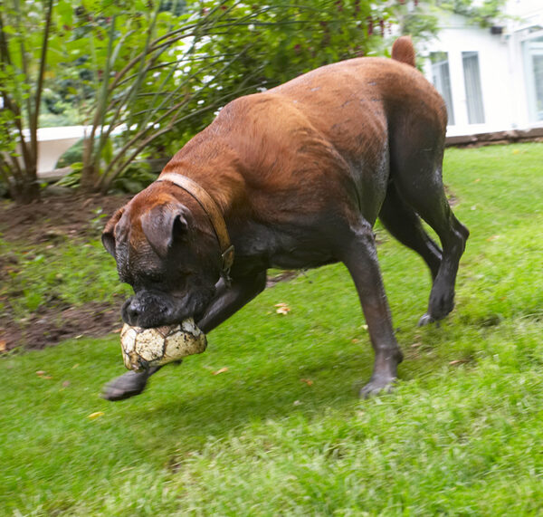 Gonna kill this ball