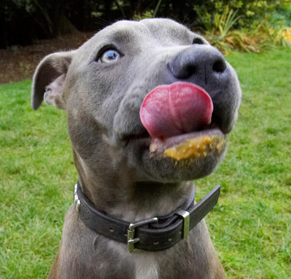 Lip smackin' good