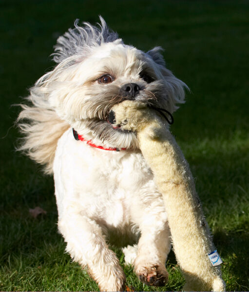Oh, no, it's dragging