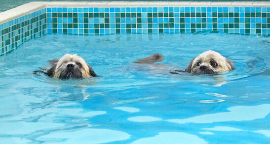 Get the feeling we're out of our depth here?