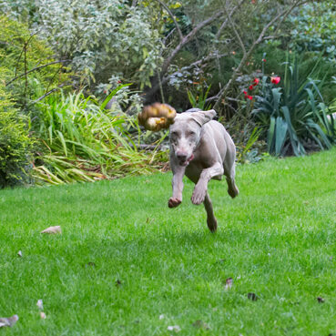 You can't outrun me
