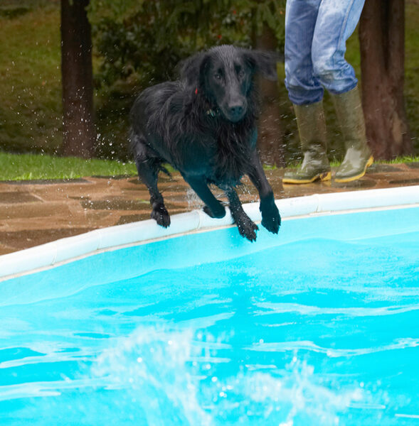 Now, time for another dive