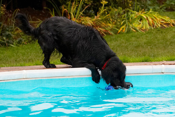 Yeah, got it without getting wet