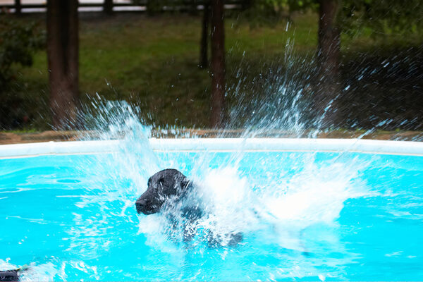 I know how to make a splash