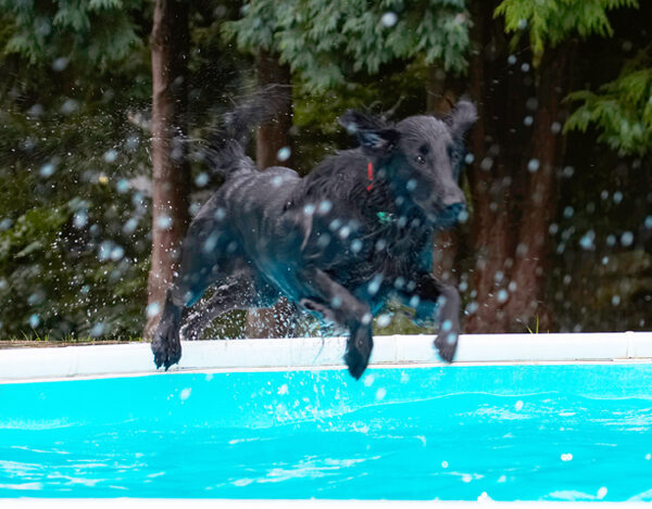 I'm flying