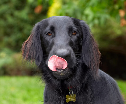Lip smackin' good