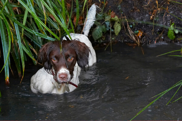 Ooooh, wot's in here?!