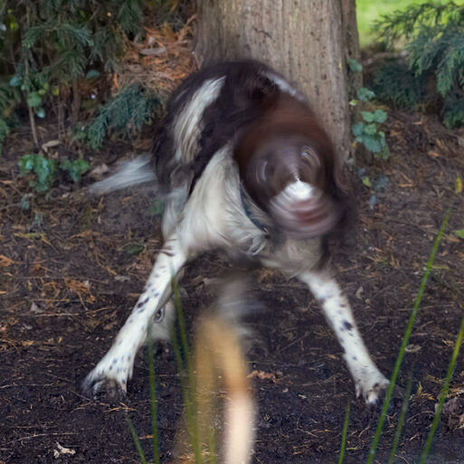 Gotta have a bit of a roll