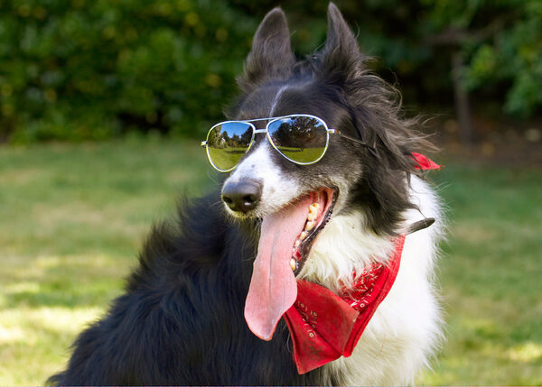 Hey, I look kinda cool
